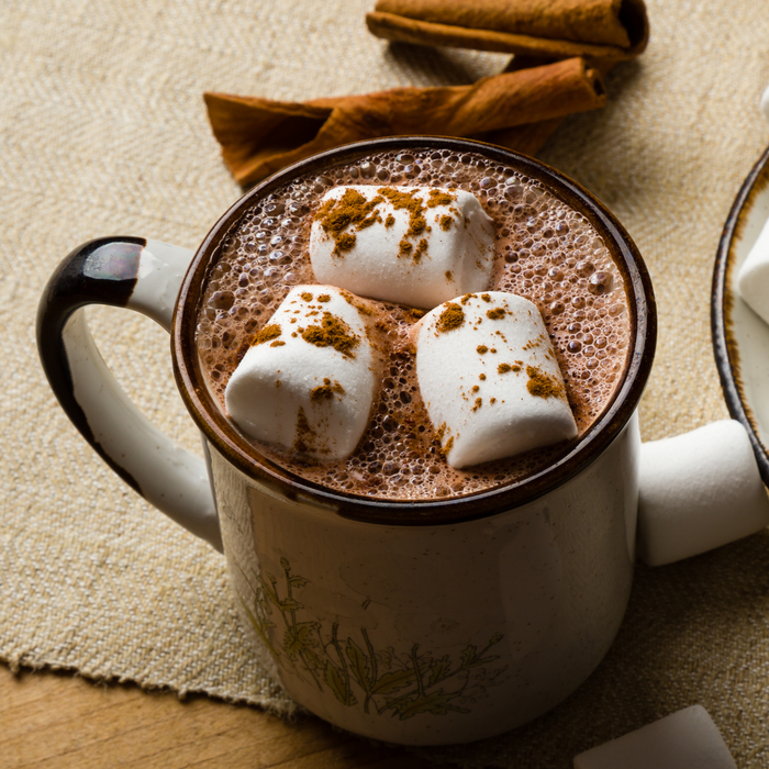 Base en polvo Premium Hot Cocoa  Hollander 2.5lb