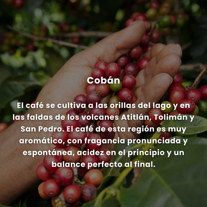 Café El Cafetalito región Cobán 5lb