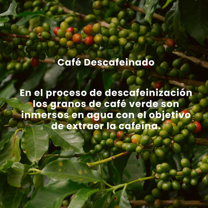 Café El Cafetalito descafeinado 460 grm/ 4PACK