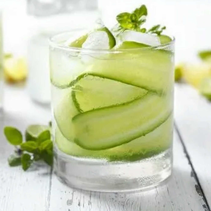Saborizante Pepino  Monin 1lt
