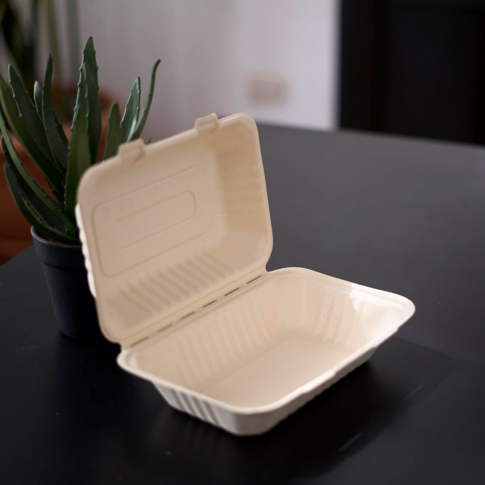 Bandeja de Bagazo de Caña 9*6" Caja 250 unidades