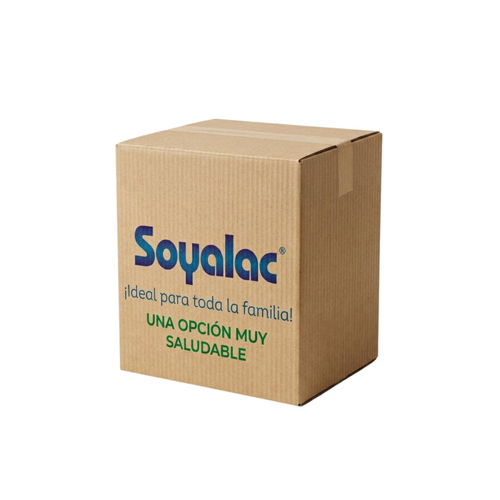 Bebida de Soya en Polvo Soyalac Capuchino 360g