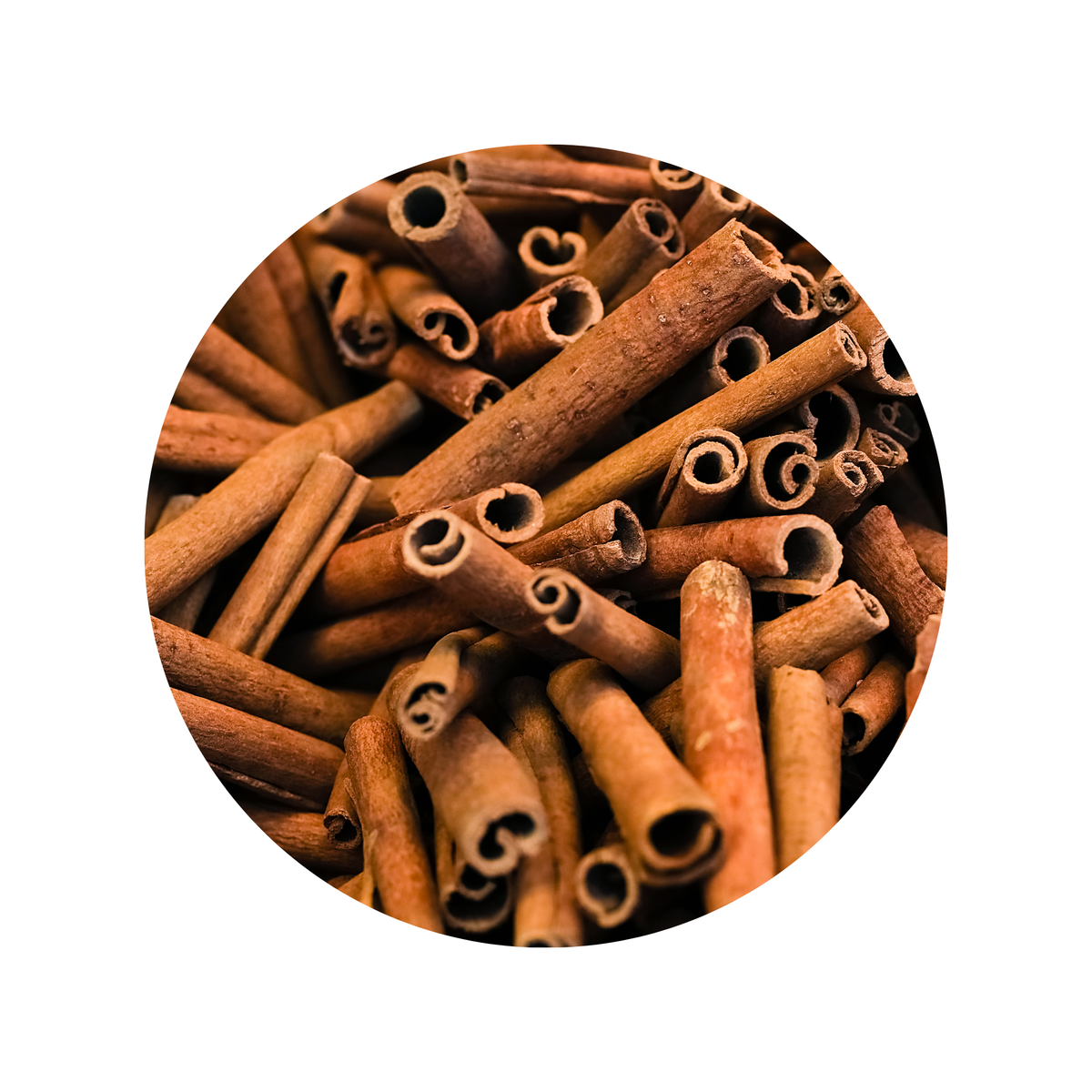 Canela en Raja Ceylon 5