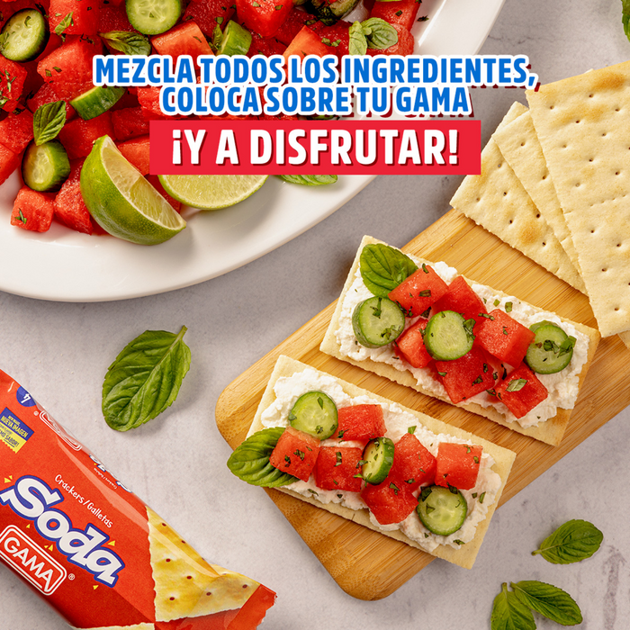 Galletas de Soda Gama 24 grm - 64 Unidades
